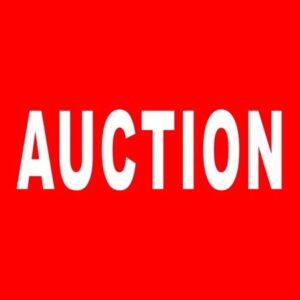 "Auction" Banner