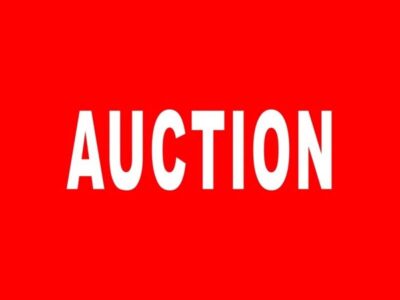 "Auction" Banner
